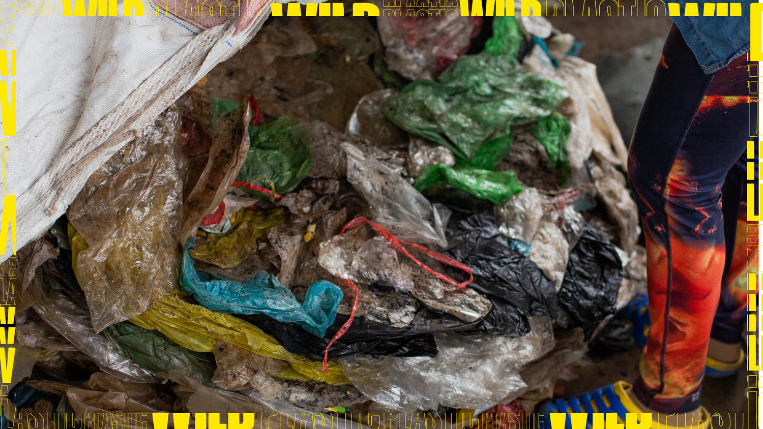 Auf den Spuren des wilden Plastiks